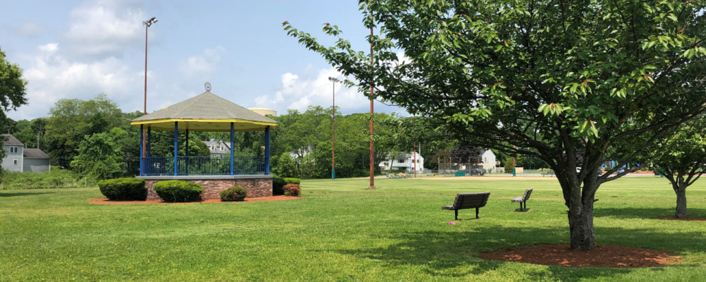 Library Field