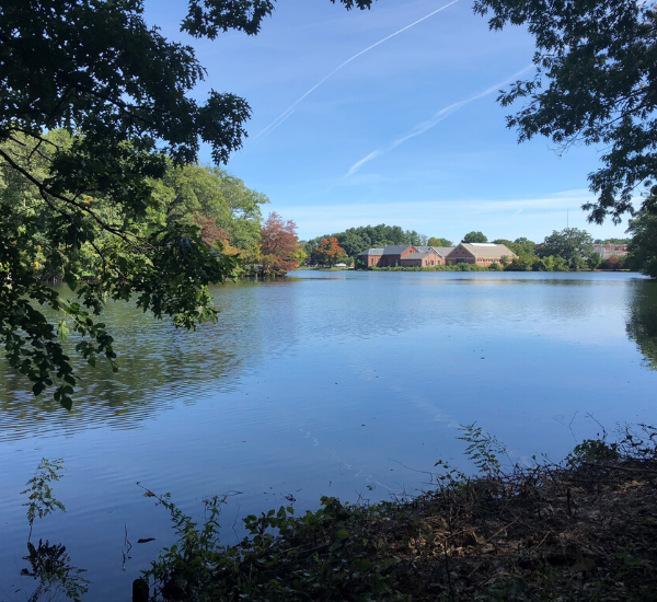 David Crowley Horn Pond Massachusetts 2