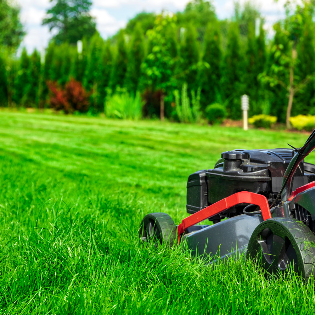 Massachusetts Lawn Mower's Dream Team