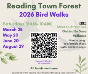 Reading Town Forest Bird Walks 2026