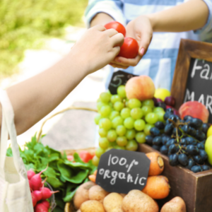 farmer market north of boston