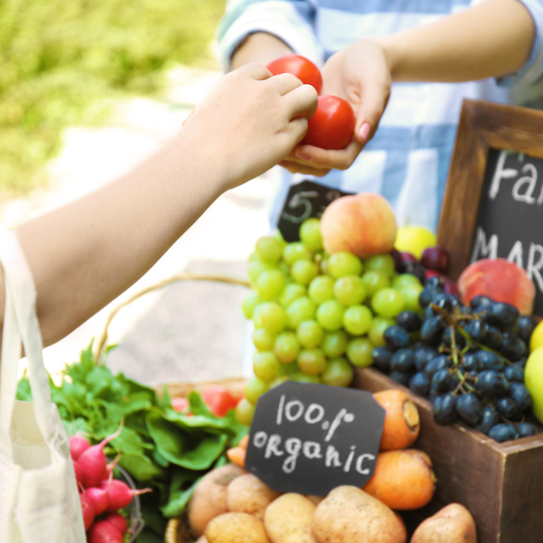 farmer market north of boston