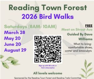 Reading Town Forest Bird Walks 2026