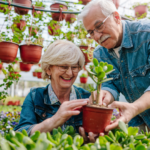 Two seniors gardening together, reflecting the peer companion care model in in-home senior care north of Boston