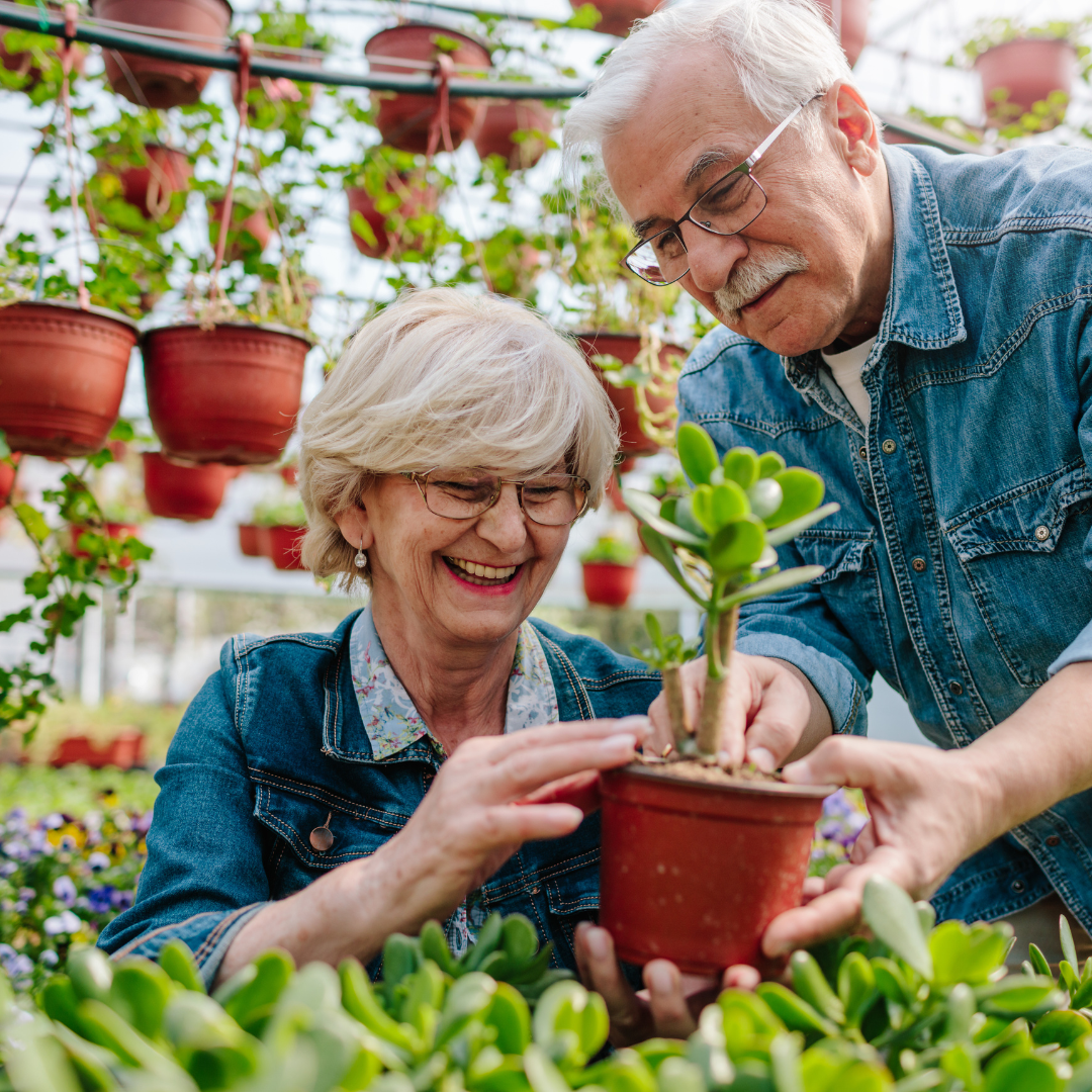 Two seniors gardening together, reflecting the peer companion care model in in-home senior care north of Boston