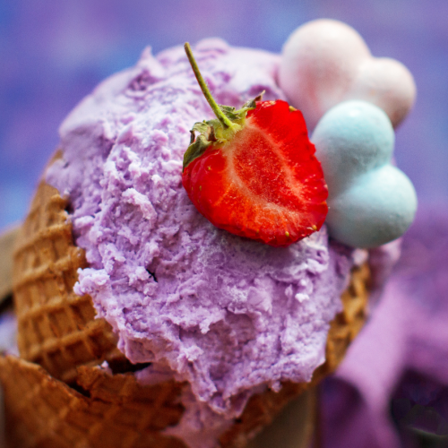 K9 Insta Graphics - 2025-01-29T130002.401