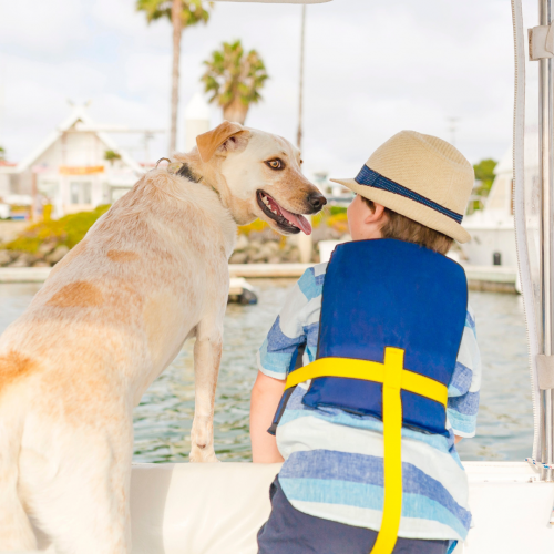 Pet Cruise Greater Boston