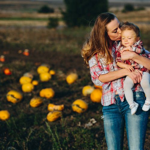 Pumpkin Patch