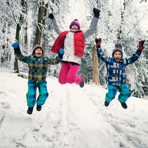 RIS December 2025 (4)