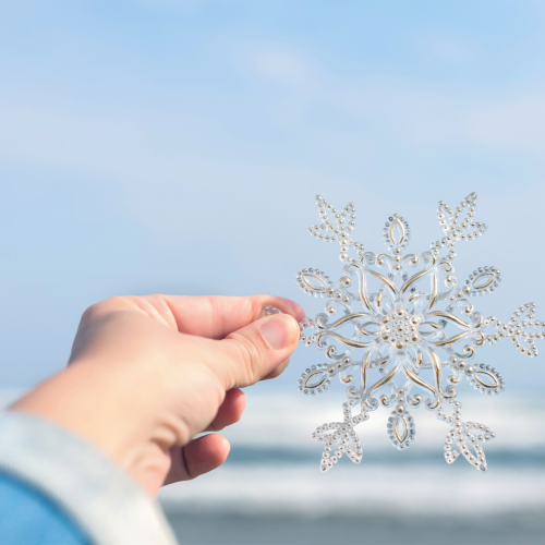 RIS January 2026 (2)