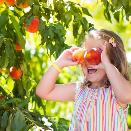 The Sampson Fund IG Posts August 2025 (6)